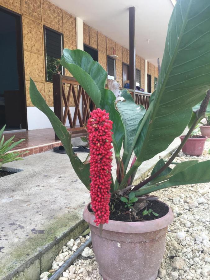 Panglao Rainbow Inn Тагбиларан Сити Екстериор снимка